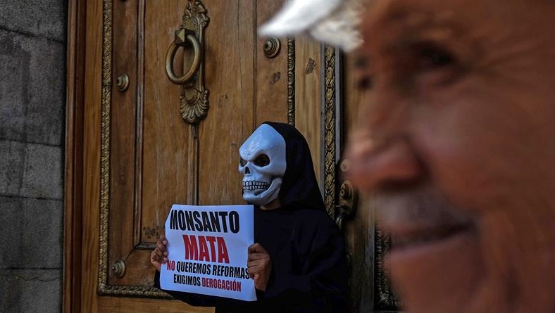 Crisis agroalimentaria y  ley Monsanto