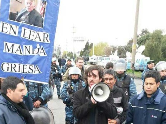 Buitres, patotas y caranchos