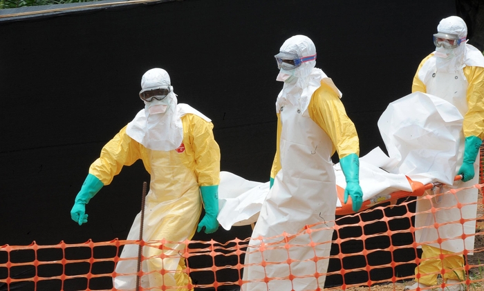 Por qué surge el ébola en Africa: la responsabilidad del FMI y el Banco Mundial