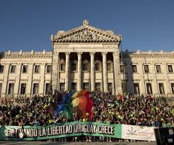 Acerca de la aprobación de la legalización de la marihuana en Uruguay 